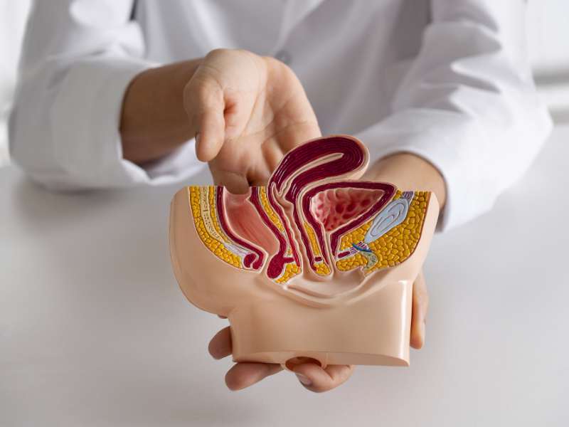 ¿Qué es la coloproctología y cuándo acudir? | Coloclinic CDMX
